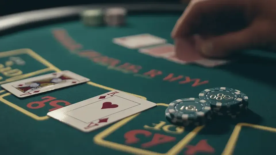 Casinomhub canlı casino masası